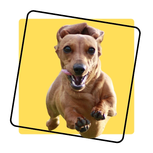 Black and White Lightning Charge Technology Logo (5)